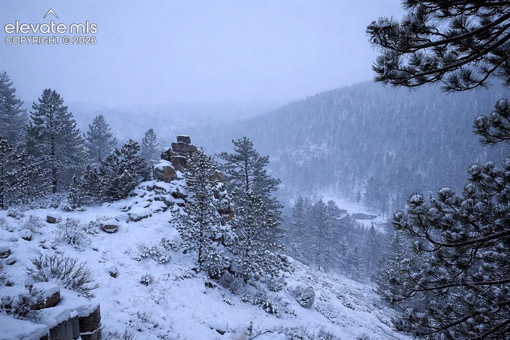 672 Comanche Circle Red Feather Lakes CO 80545