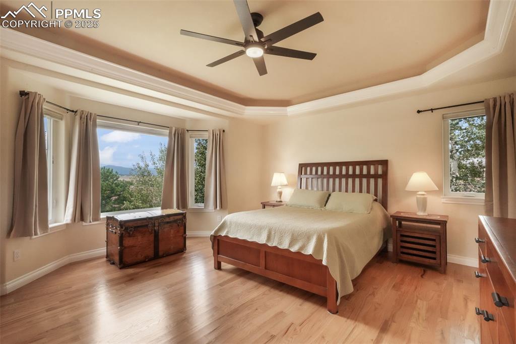 20316 High Pines Drive Monument CO 80132