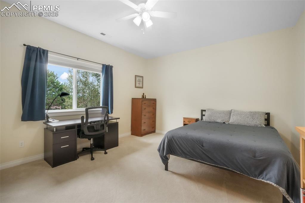 20316 High Pines Drive Monument CO 80132