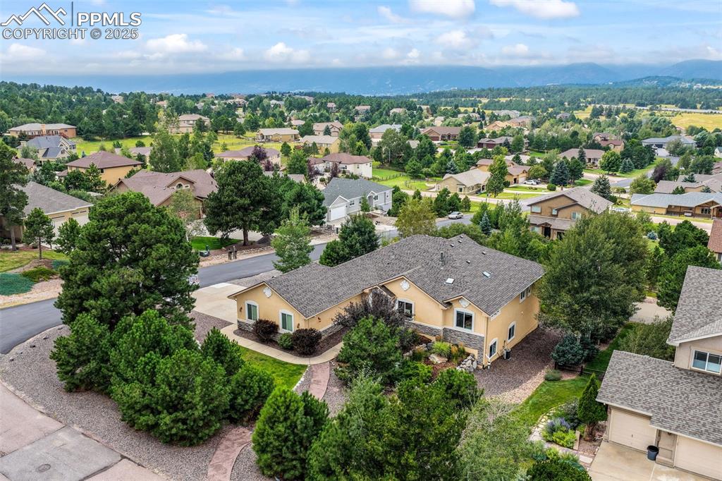 20316 High Pines Drive Monument CO 80132