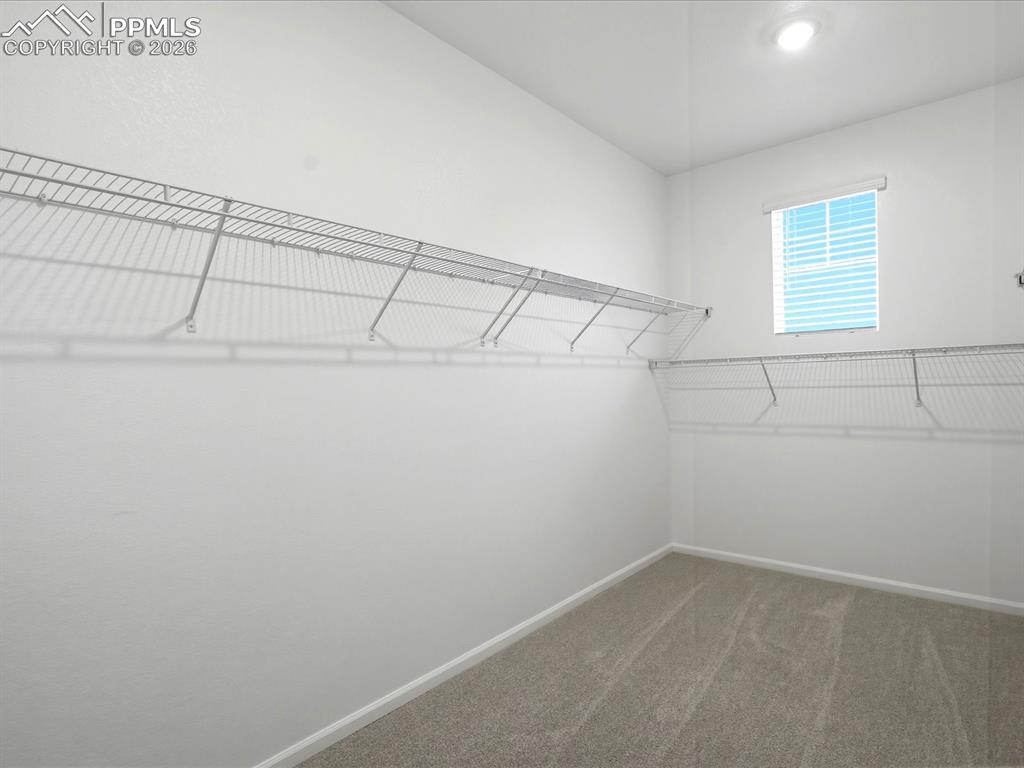 10773 Finsbury Court Peyton CO 80831
