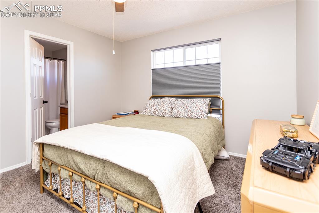 8029 Ravenel Drive Colorado Springs CO 80920