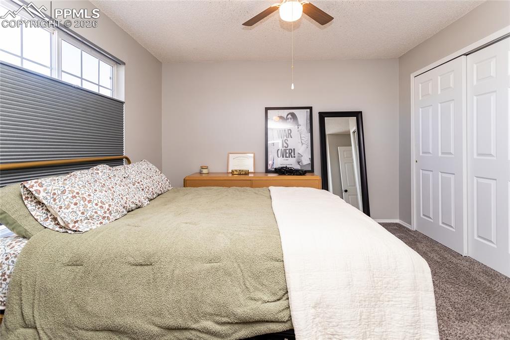 8029 Ravenel Drive Colorado Springs CO 80920