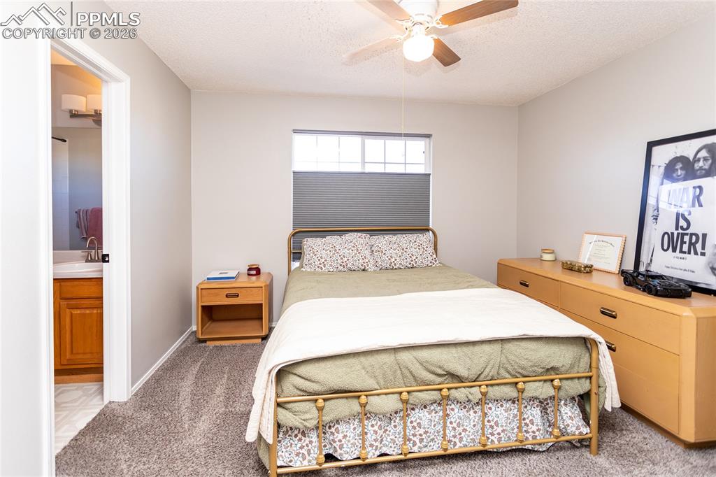 8029 Ravenel Drive Colorado Springs CO 80920