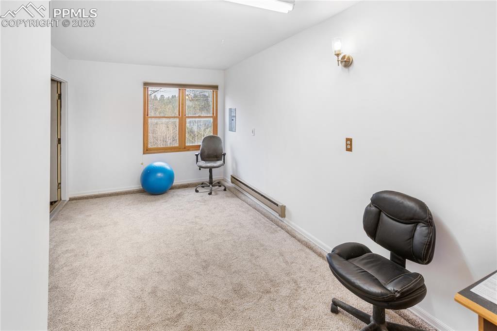 36 Illini Drive Woodland Park CO 80863