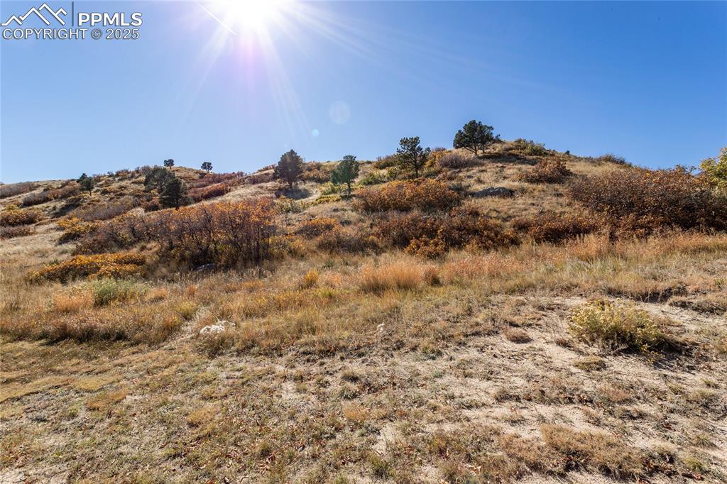 7685 Sierra Pine Drive Colorado Springs CO 80919