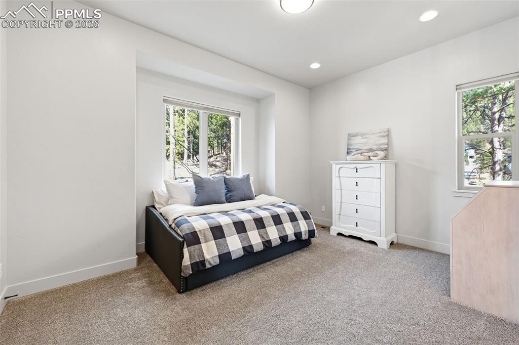 321 Thunder Ridge Drive Woodland Park CO 80863