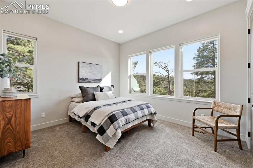 321 Thunder Ridge Drive Woodland Park CO 80863