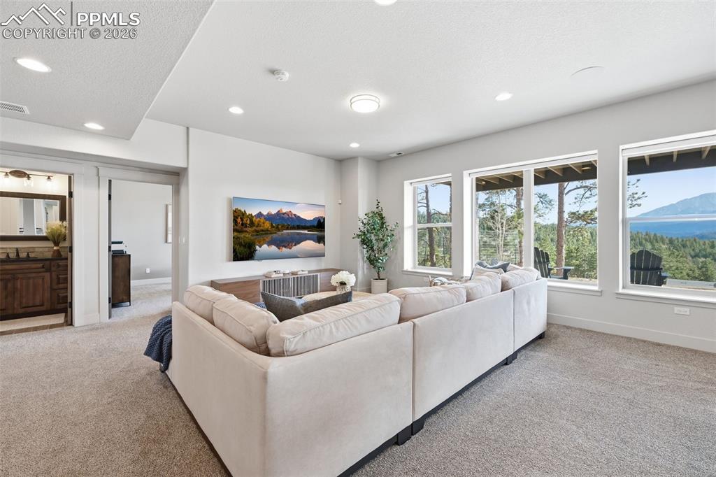 321 Thunder Ridge Drive Woodland Park CO 80863