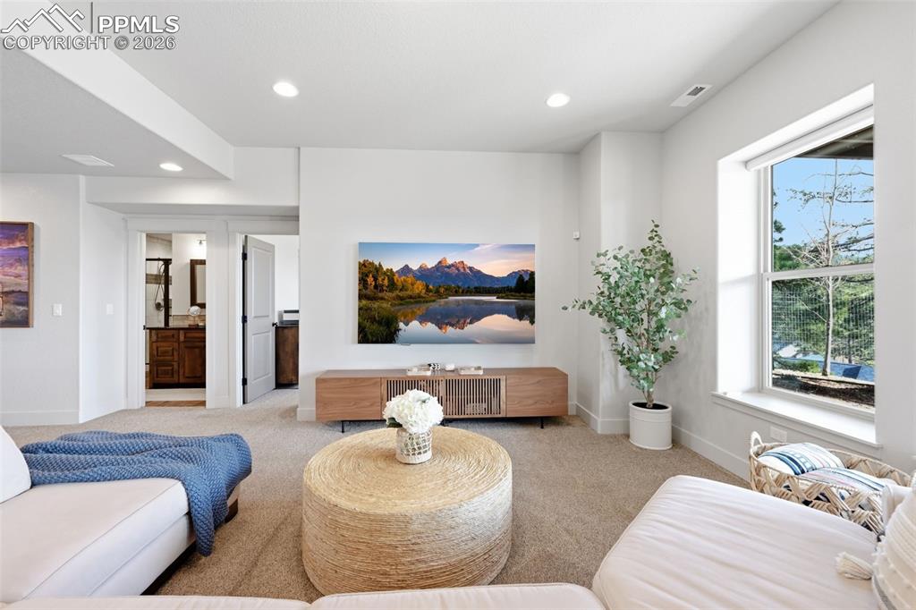 321 Thunder Ridge Drive Woodland Park CO 80863