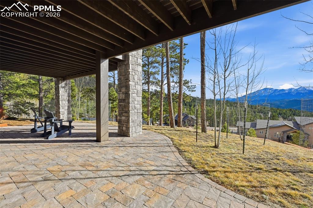 321 Thunder Ridge Drive Woodland Park CO 80863