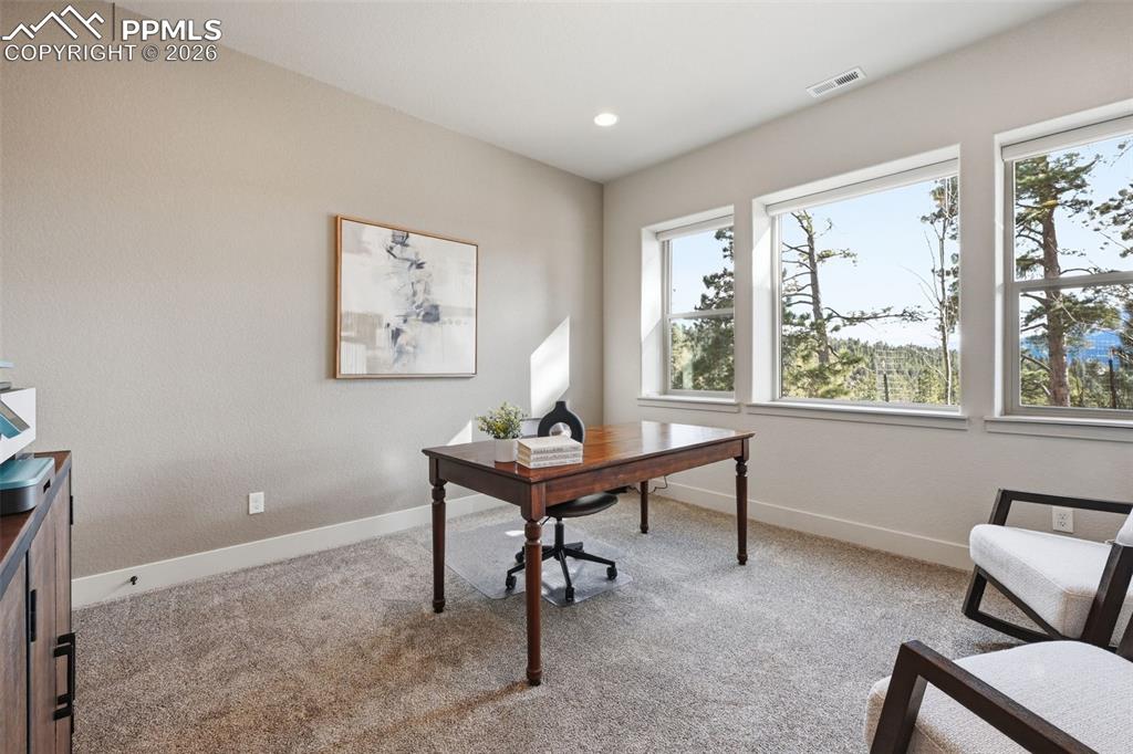 321 Thunder Ridge Drive Woodland Park CO 80863