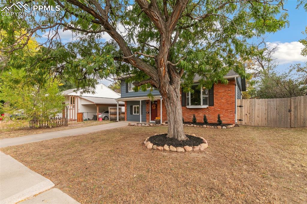 2915 Hayman Terrace Colorado Springs CO 80910