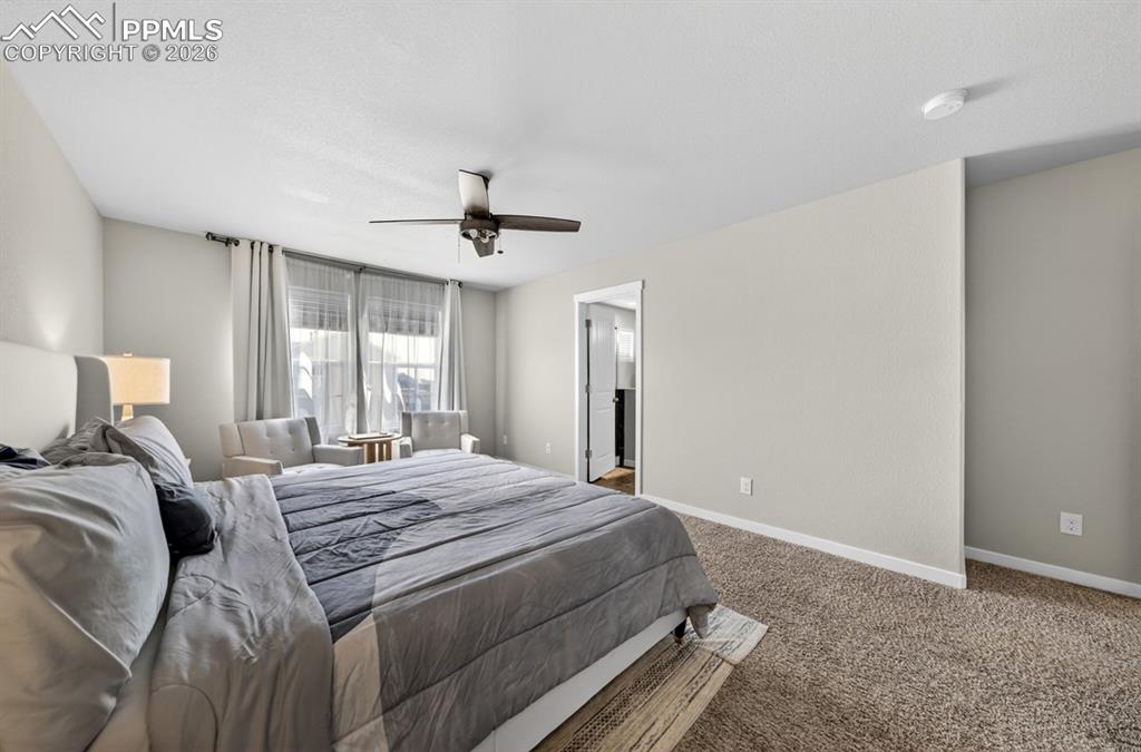 9876 Chromatic Terrace Peyton CO 80831