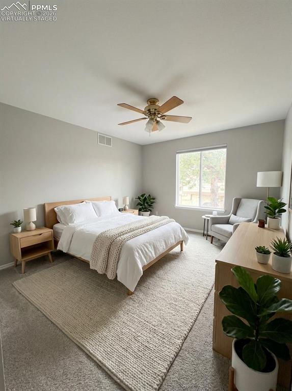 1388 Rosemary Drive Castle Rock CO 80109