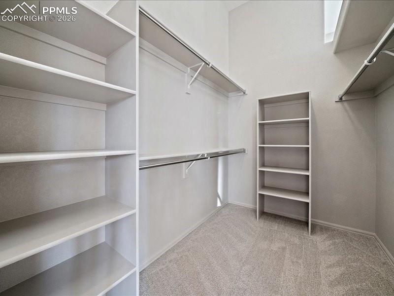 1388 Rosemary Drive Castle Rock CO 80109