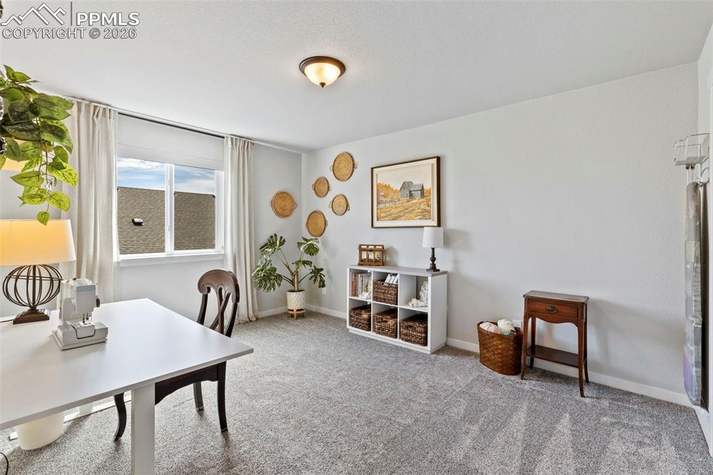 9912 Bison Valley Trail Colorado Springs CO 80908