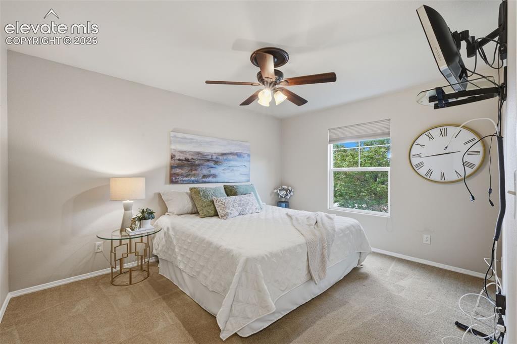 249 Homeland Court Colorado Springs CO 80921