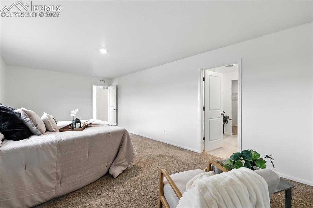 9723 Borderpine Way Colorado Springs CO 80925