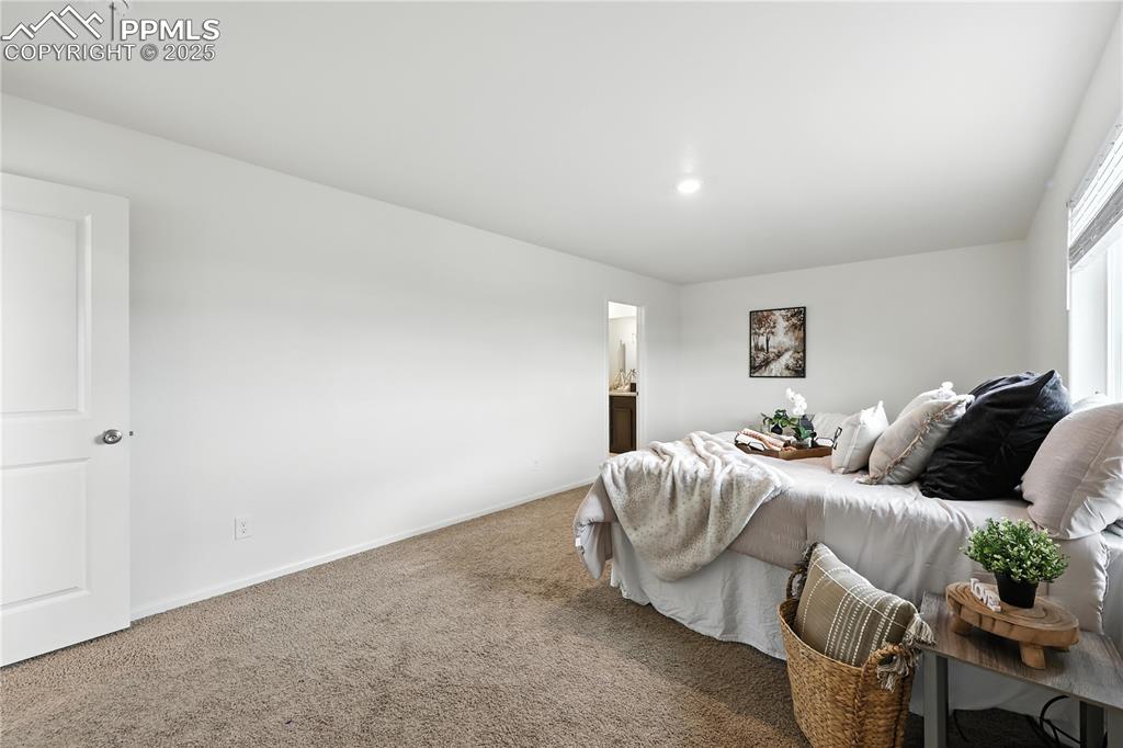 9723 Borderpine Way Colorado Springs CO 80925