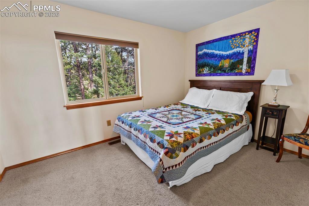 595 Bird Point Road Florissant CO 80816