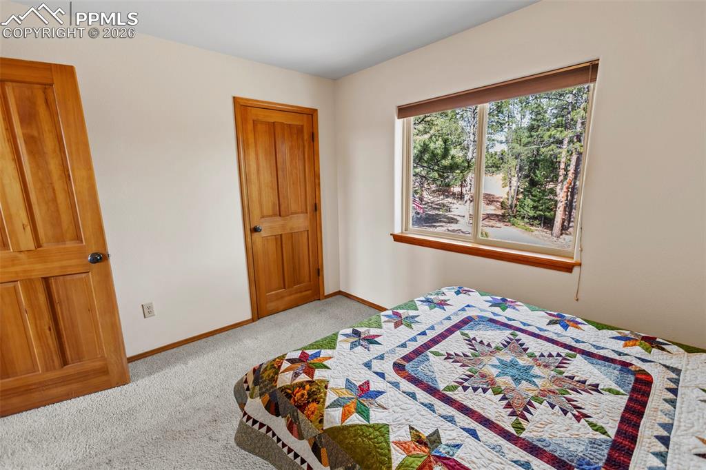 595 Bird Point Road Florissant CO 80816
