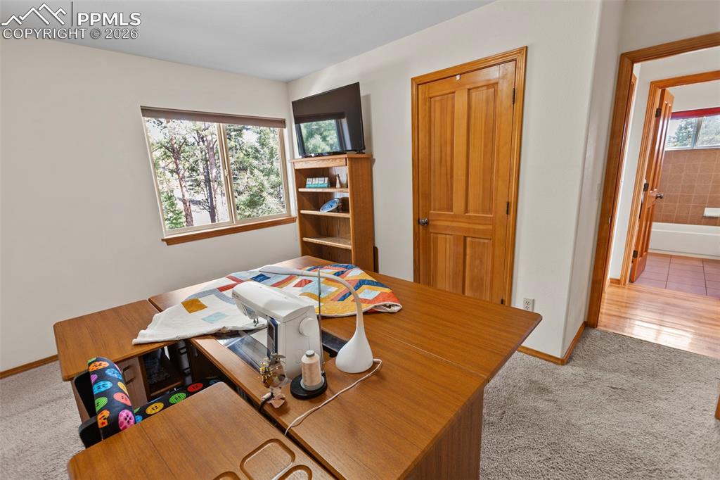 595 Bird Point Road Florissant CO 80816