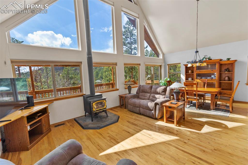 595 Bird Point Road Florissant CO 80816