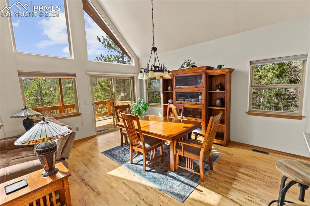 595 Bird Point Road Florissant CO 80816