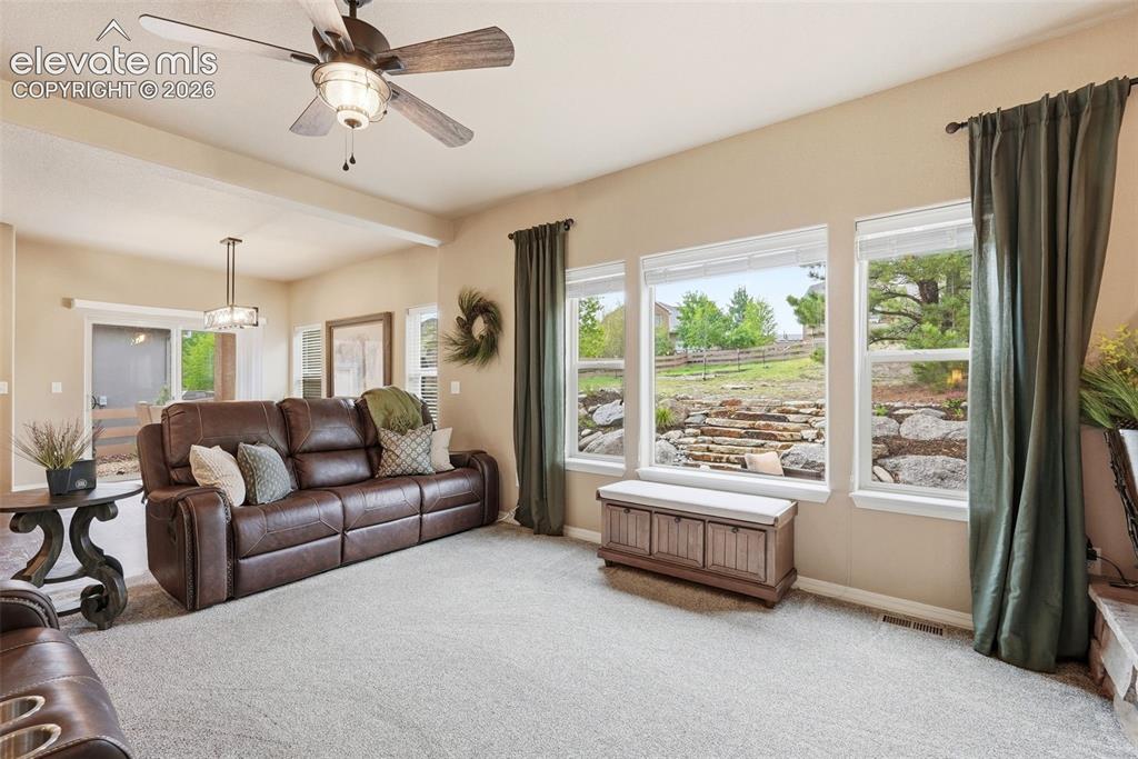 233 Coyote Willow Drive Colorado Springs CO 80921