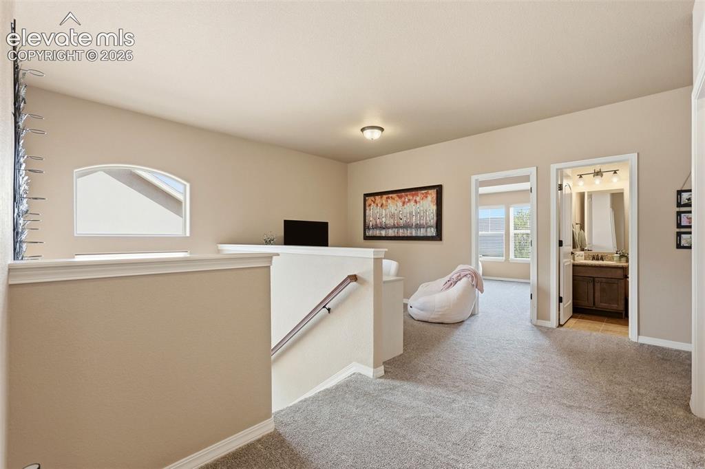 233 Coyote Willow Drive Colorado Springs CO 80921