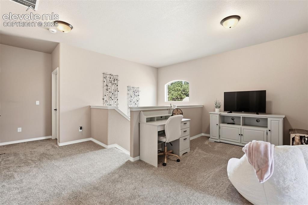 233 Coyote Willow Drive Colorado Springs CO 80921