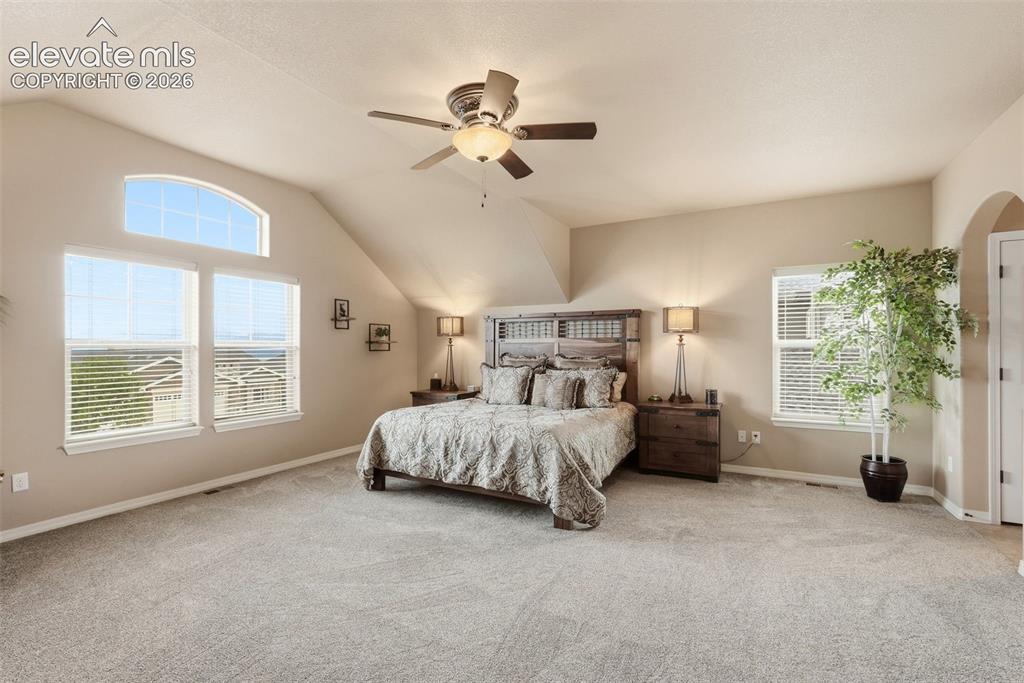 233 Coyote Willow Drive Colorado Springs CO 80921