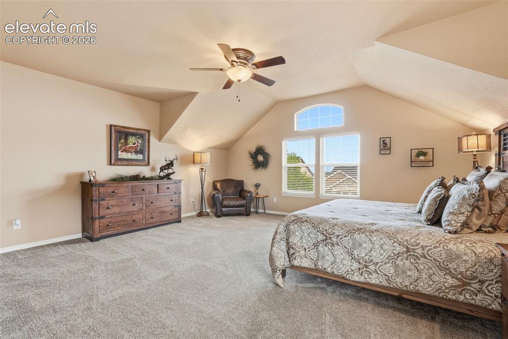 233 Coyote Willow Drive Colorado Springs CO 80921