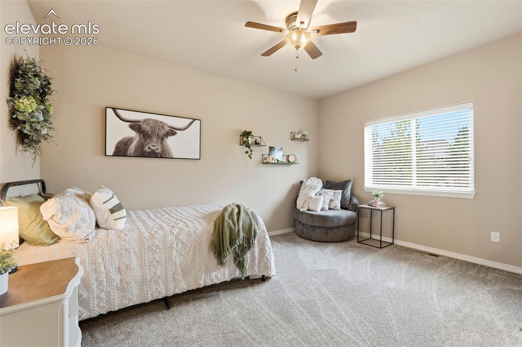 233 Coyote Willow Drive Colorado Springs CO 80921