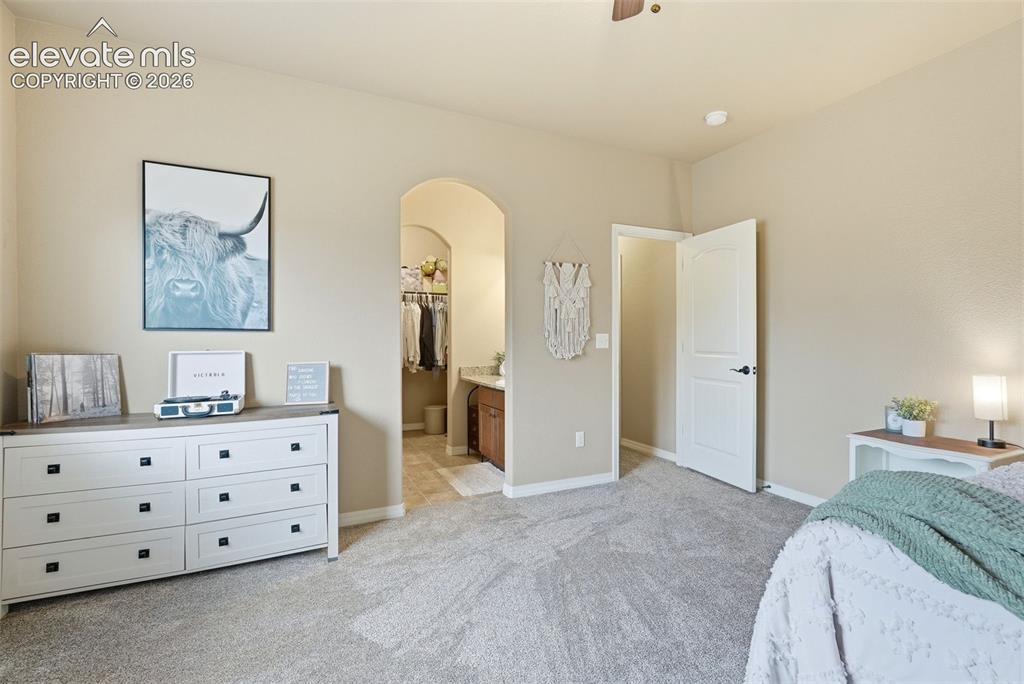 233 Coyote Willow Drive Colorado Springs CO 80921