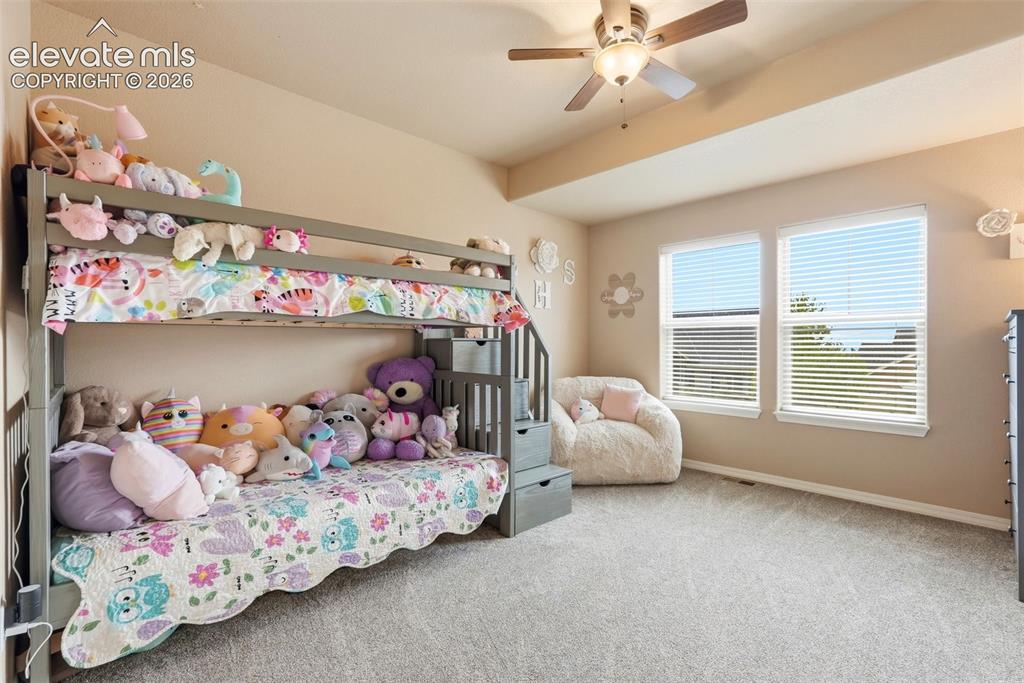 233 Coyote Willow Drive Colorado Springs CO 80921
