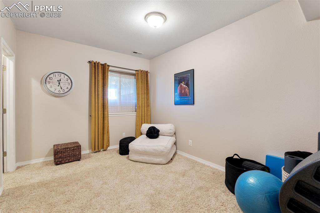 10295 Accipiter Drive Peyton CO 80831