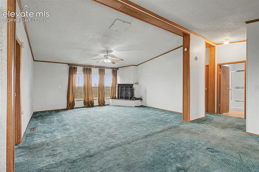 11770 Tracy Lane Peyton CO 80831