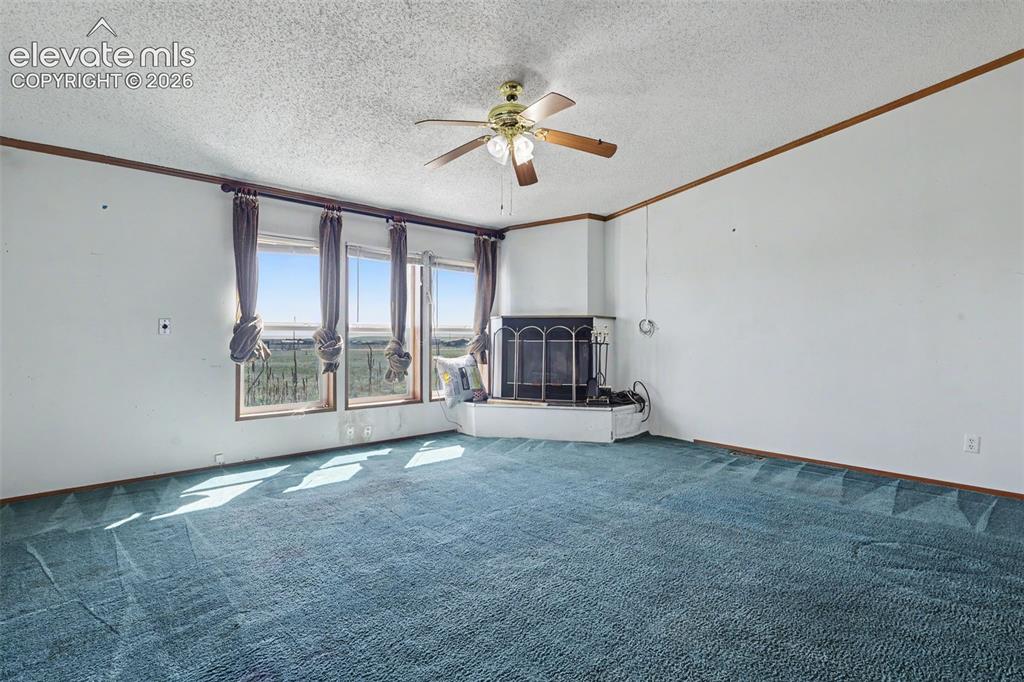 11770 Tracy Lane Peyton CO 80831