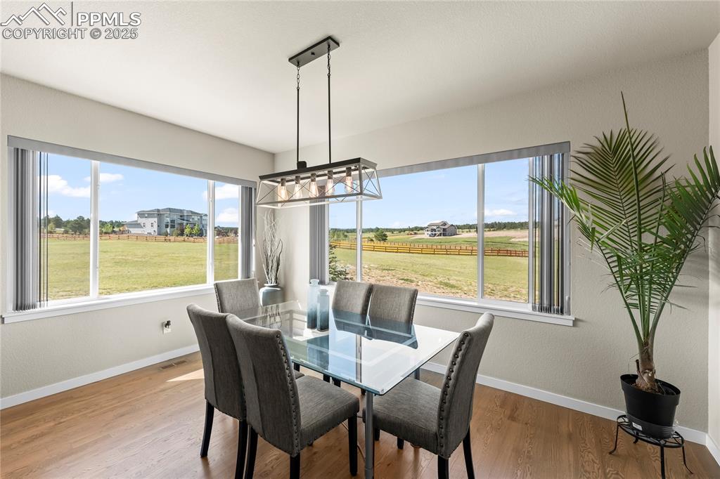 8872 Falcon Nest Court Colorado Springs CO 80908