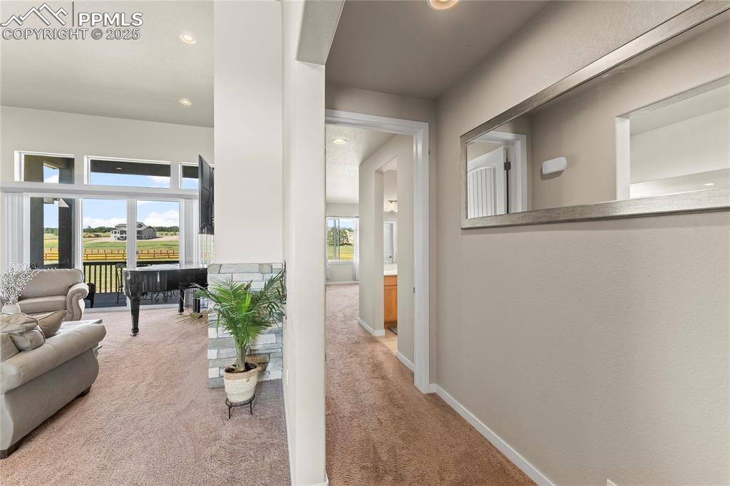 8872 Falcon Nest Court Colorado Springs CO 80908