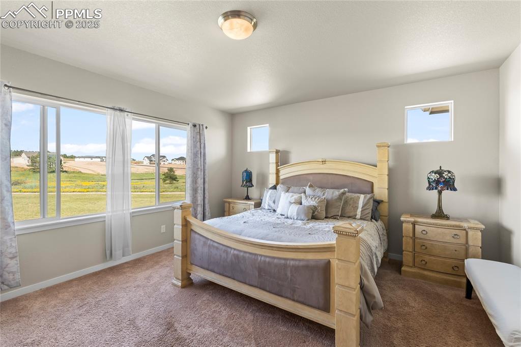 8872 Falcon Nest Court Colorado Springs CO 80908