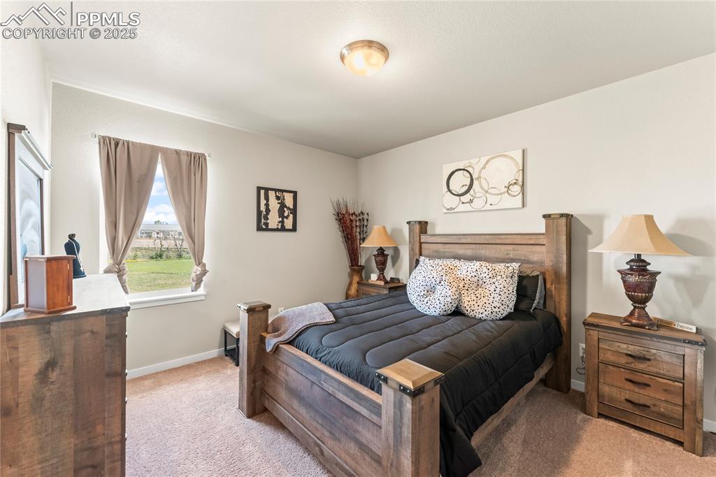 8872 Falcon Nest Court Colorado Springs CO 80908