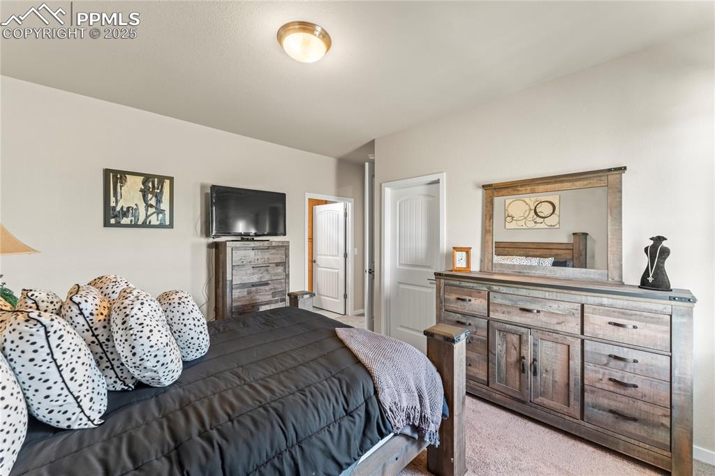 8872 Falcon Nest Court Colorado Springs CO 80908