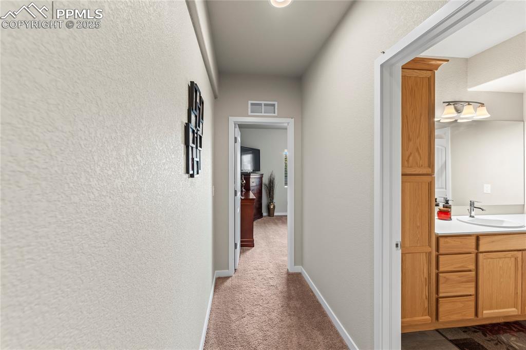 8872 Falcon Nest Court Colorado Springs CO 80908