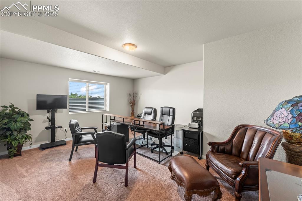 8872 Falcon Nest Court Colorado Springs CO 80908