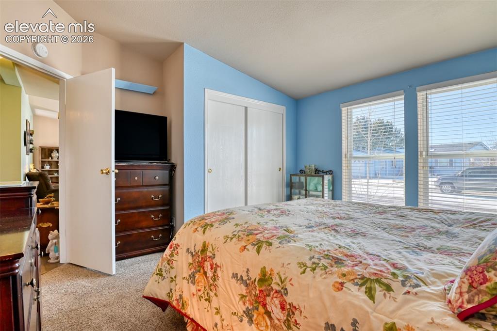 4661 Gray Fox Heights Colorado Springs CO 80922