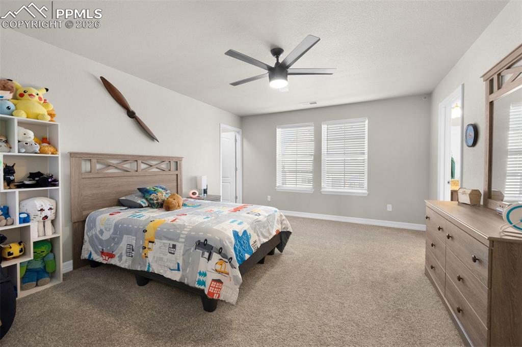 7052 Bramble Bluff Court Colorado Springs CO 80927