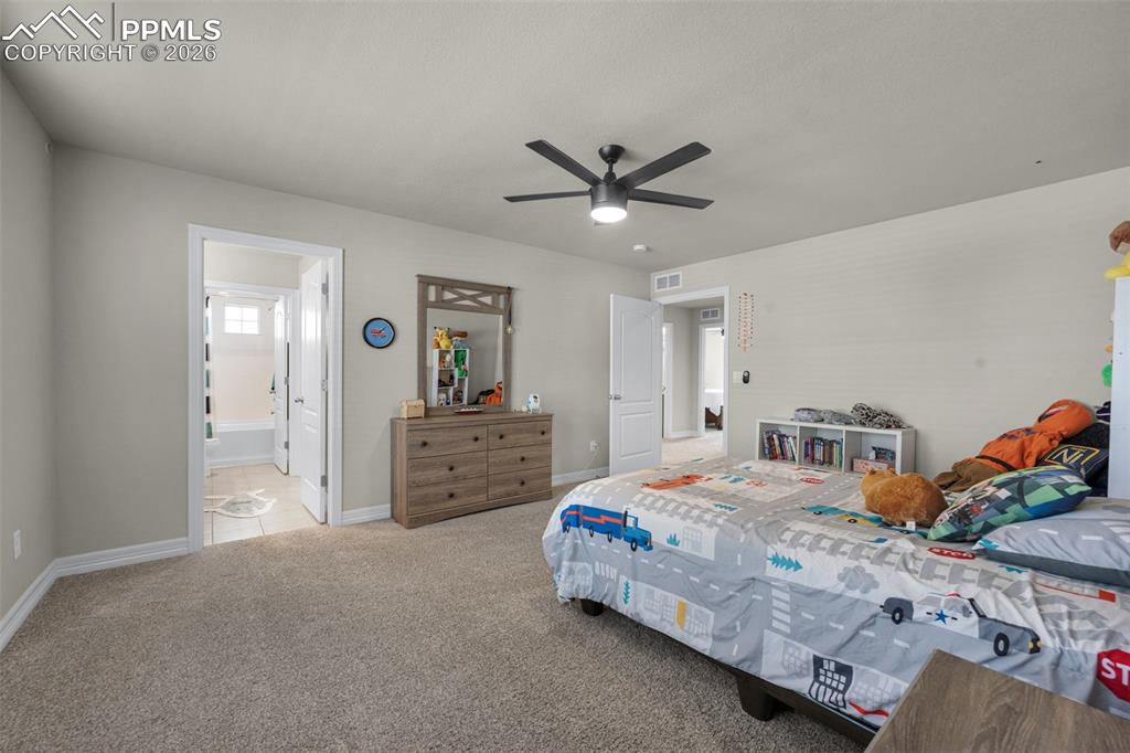 7052 Bramble Bluff Court Colorado Springs CO 80927